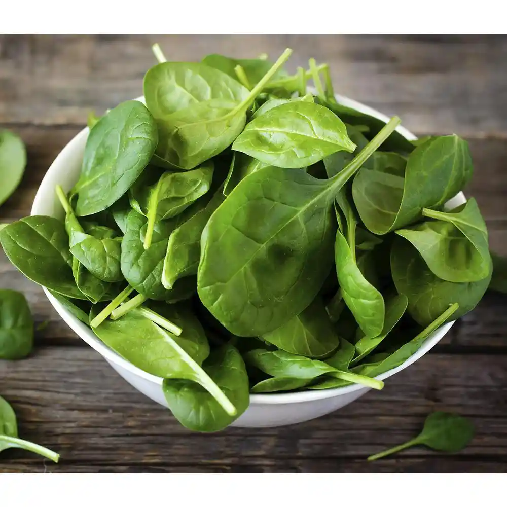 Fresh organic baby spinach leaves